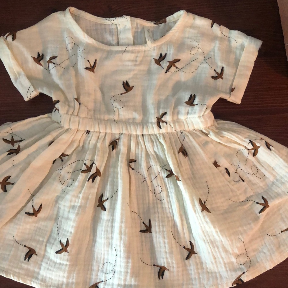 Rylee and Cru sparrow dress